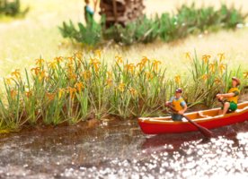 Wasserlilien